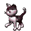 movingcat.gif